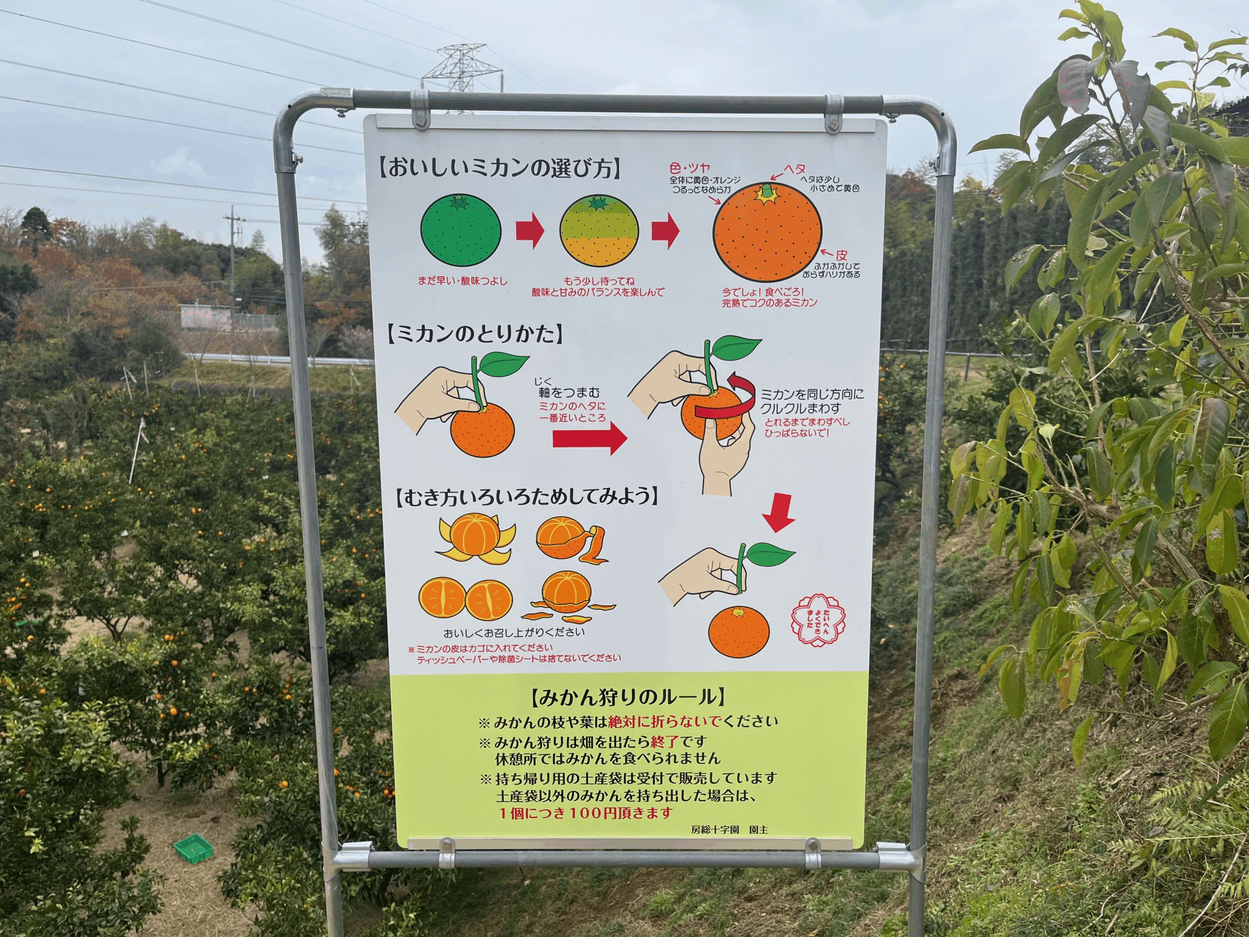 房総十字園の中に掲載されている美味しいみかんの選び方・みかんの取り方・みかん狩りのルールの看板